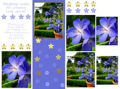 Floral Classic Birthday Greeting Card Front