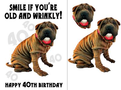 Fun Fun 40th Birthday Greeting Card with Shar Pei