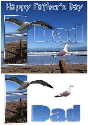 Sea View with Gulls Father's Day Card