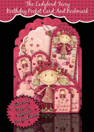 Cute Ladybird Fairy Pocket Kit