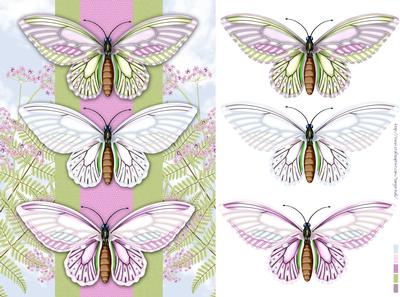 Butterfly Birthday / Any Occasion Card Front