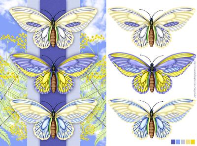 Butterfly Birthday Card Front or Any Occasion