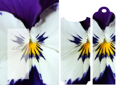 Pansy Macro Bookmark Greeting Card Front