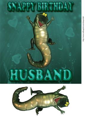 Husband Fun Birthday Card Snappy Birthday