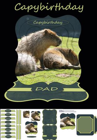 Capybara Easel Card Kit
