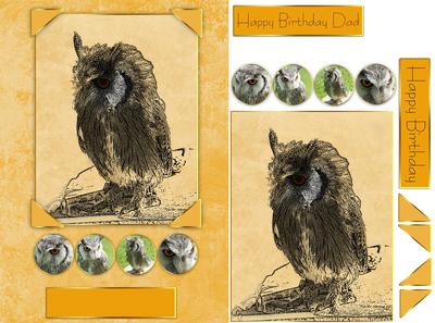 Owl Birthday Greeting Quick Card