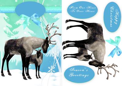 Reindeer and Baby Christmas Greeting Quick Card