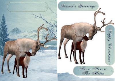 Reindeer and Fawn Christmas Quick Card