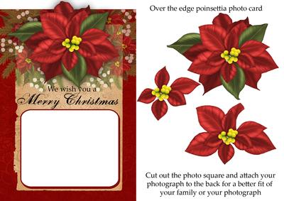 Poinsettia Christmas Photo Greeting Card