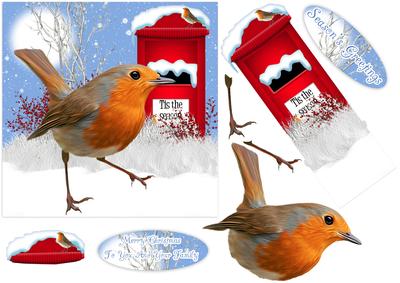 Robin Scenery Christmas Step It Up