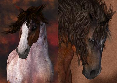 Two Horse Portrait Toppers