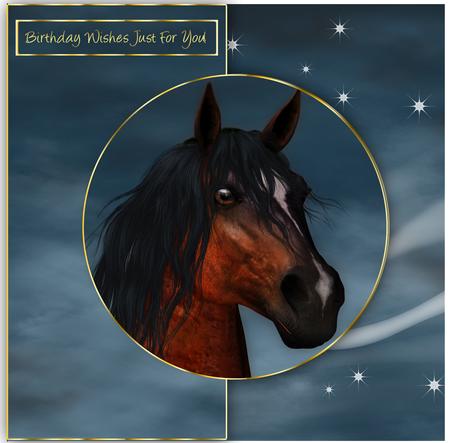 Equine Over the Edge Greeting Card Kit
