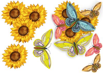 Butterflies and Sunflowers to Match Mother's Day Cards