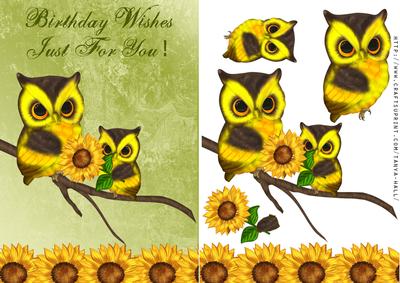 Sweet Little Owl Birthday Step by Step Card
