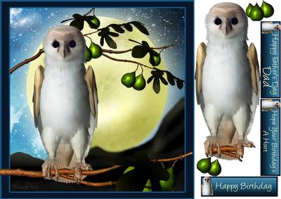 Fantasy Owl Birthday Greeting Quick Card