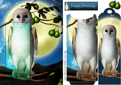 Fantasy Owl Birthday Bookmark Card