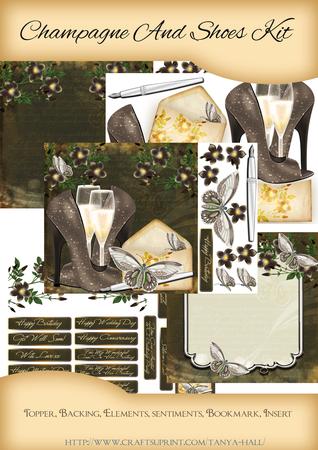 Birthday Anniversary or Other Shoe and Champagne Kit