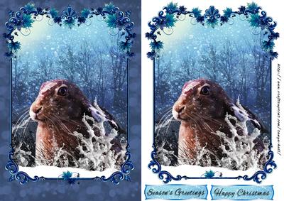 Moonstruck Winter Hare Christmas Card