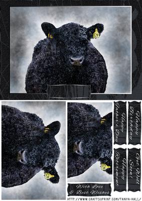 Watercolor Aberdeen Angus Quick Birthday or Other Card