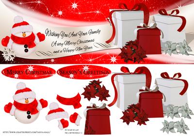 Large Dl Christmas Step by Step Card