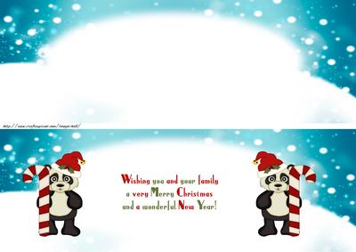 Two Christmas Inserts to Match the Panda and Penguin Long Dl