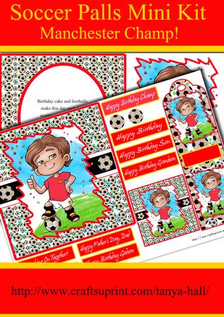 Fun Football Fan Mini Kit Manchester