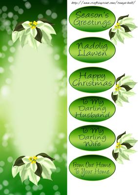 Green Insert to Match the White Poinsettia Card