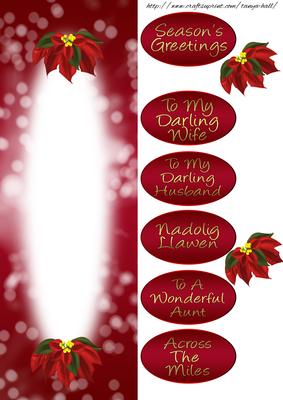 Red Poinsettia Champagne Insert to Match the Dl Card