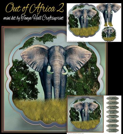 Out of Africa 2 Elephant Birthday Mini Kit