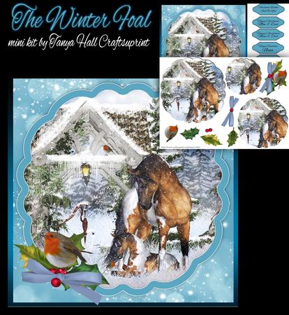 The Winter Foal Christmas Mini Kit