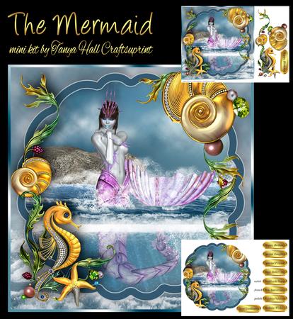 Mermaid Fantasy Birthday Mini Kit