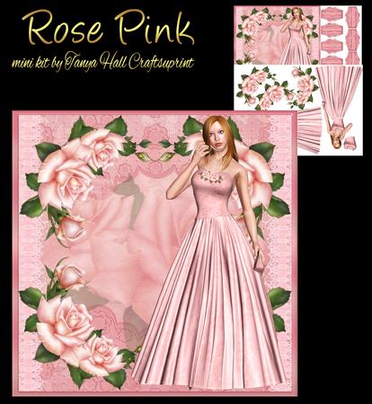 Rose Pink Birthday Mini Kit