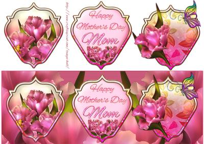 Mom Mother's Day Quick Large Dl Card