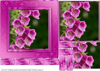 Birthday / Mother's Day Foxglove Quick Card
