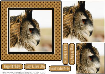Eagle Owl, Birthday or Father's Day Quick Card