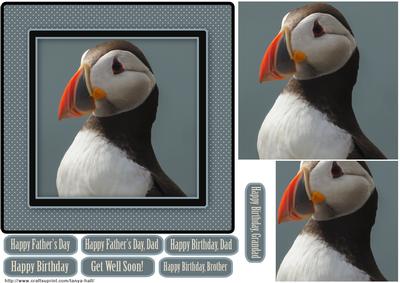 Arctic Puffin Father's Day, Birthday Quick Card