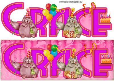Grace, Fun Cat Long Dl Birthday Quick Card