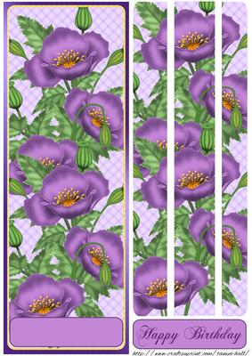 Purple Poppy Quick Large Dl Card