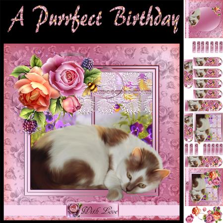 A Purrfect Birthday Cat Card Kit
