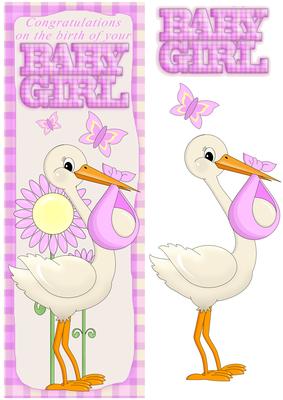 New Baby Girl Stork Large Dl Card