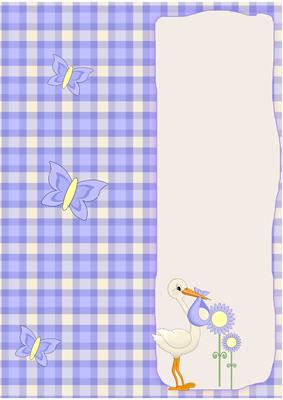 Baby Boy Larde Dl Insert to Match Card