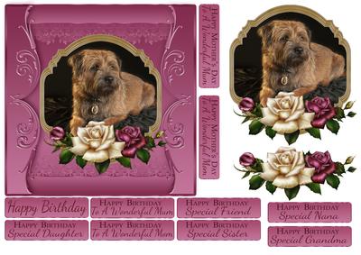 Border Terrier Oil Painting in a Cameo Quick Card