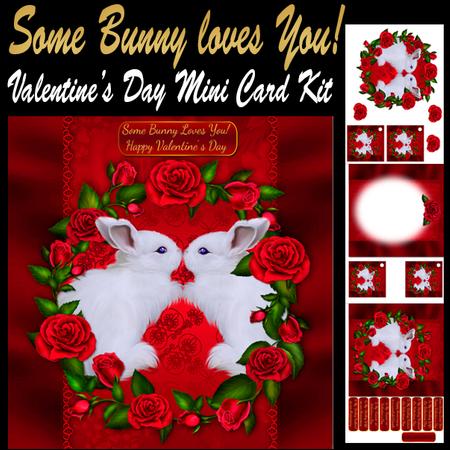Some Bunny Loves You Mini Valentine's Day / Anniversary Kit