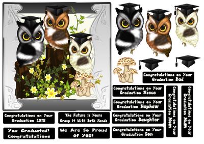 Triple Owl Graduation Congratulations Step by Step