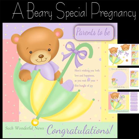 A Beary Special Pregnancy, Mini Kit