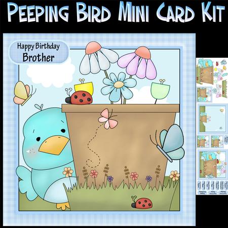 Little Peeping Bluebird Mini Card Kit