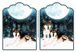 Winter Night - Wolves
