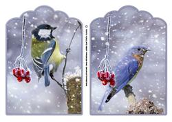 Winter Garden Birds