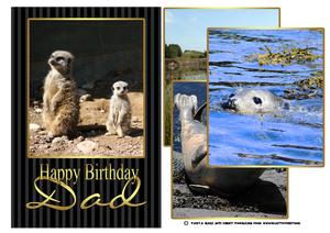 Dad Birthday Card