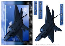 Air Force Thank You / Birthday Card